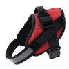 Pettorina EasyWalk Anti-Trek per Cani - Camminare Sicuro e Confortevole