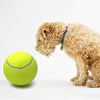 Play Paw - Giocattolo Interattivo per Gatti