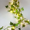 GreenGlow Lichtslinger - Per un'illuminazione naturale e suggestiva