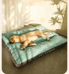 Cuscino ortopedico per cani OrthopedischDroom
