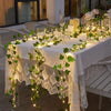 GreenGlow Lichtslinger - Per un'illuminazione naturale e suggestiva