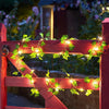GreenGlow Lichtslinger - Per un'illuminazione naturale e suggestiva