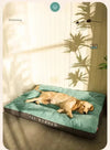 Cuscino ortopedico per cani OrthopedischDroom