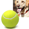Play Paw - Giocattolo Interattivo per Gatti