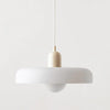 NORDICGLASS PLAFONDHANGLAMP - ELEGANTE ILLUMINAZIONE SCANDINAVA PER OGNI AMBIENTE