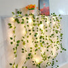 GreenGlow Lichtslinger - Per un'illuminazione naturale e suggestiva