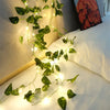 GreenGlow Lichtslinger - Per un'illuminazione naturale e suggestiva