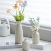 CeramiSet Vasi Ceramici - Design Elegante Senza Tempo