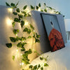 GreenGlow Lichtslinger - Per un'illuminazione naturale e suggestiva