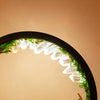 CrystalGlow Luxe Cirkel Lampada Notturna