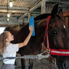 6-in-1 Paardenborstel - Complete Verzorging en Massage