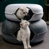 Kuscheldonut Deluxe – Letto tunnel interattivo per gatti