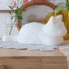 PurrGlow - Lampada Notturna Wireless per Gatti