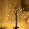 Salice piangente Lichtenboom