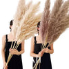 Pampas Bohemien Pluimen - Decorazione Naturale Elegante