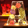 Lettere di fiori secchi Nachtlampje