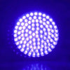 UV Luce ultravioletta 100 LED Torcia BlackLight 395nM Torcia da ispezione