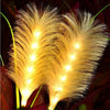SolarReed – Lampada da giardino in canna palustre con energia solare e illuminazione LED