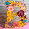 Lettere di fiori secchi Nachtlampje