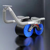CoreFlex Roller - Voor een Sterkere Core