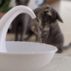 Fontana automatica premium per bere per gatti