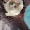 Tunnel gioco pieghevole per gatti