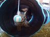 Tunnel gioco pieghevole per gatti