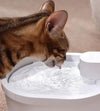 Sensore intelligente fontana d'acqua per gatti