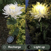 Luci di Crisantemo Artificiali – Illuminazione Solare da Giardino per un Giardino Incantevole