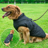 CozyBuddy Giubbotto per Cani - Calore, Comfort e Protezione