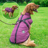 CozyBuddy Giubbotto per Cani - Calore, Comfort e Protezione