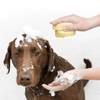 Spazzola per bagno per cani
