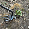 WeedBuster | Diserbante Manuale per Giardinaggio Efficiente