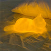 PurrGlow - Lampada Notturna Wireless per Gatti