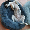 Cuscino Cuccia per Cani "Wolke 7" - l'Originale