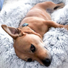 Cuscino Cuccia per Cani "Wolke 7" - l'Originale