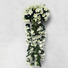 BloomHaven - Cesto di Fiori Sospeso Resistente alle Intemperie