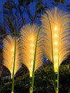 SolarReed – Lampada da giardino in canna palustre con energia solare e illuminazione LED