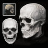 Mascara cranio realistico con mascella mobile per tutta la testa - maschera scheletro umano per feste di Halloween