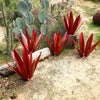 Scultura rustica di agave eterna impermeabile