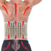 Cintura di Supporto Lombare per Decompressione: Sollievo dal Dolore alla Schiena in Caso di Malattia Degenerativa del Disco, Stenosi Spinale, Sciatica