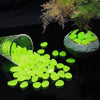 Pietre luminescenti per il giardino