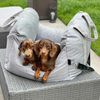 Seggiolino auto portatile per cani