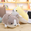 Schattiger Corgi Plüsch – Perfekt für Kissen und Spiele