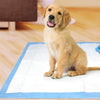 Cuscino per cani