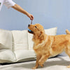 Chewie - Il giocattolo da mordere più divertente per cani