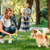Dundle | La palla interattiva da annusare per cani