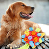 Dundle | La palla interattiva da annusare per cani