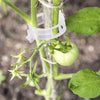 RootHold | Esperienza di giardinaggio facile e affidabile