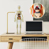 Anatome - Supporto lombare ergonomico per sedie